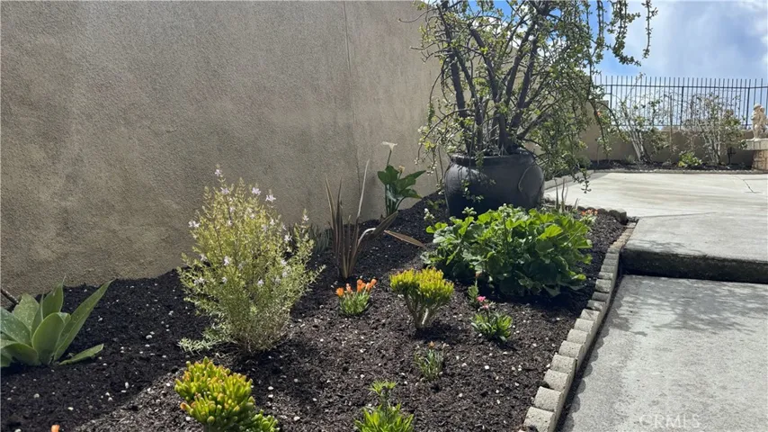 27872 Violet 161, Mission Viejo, California 92691