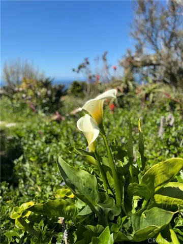 76 Oceanside Drive, Daly City, California 94015