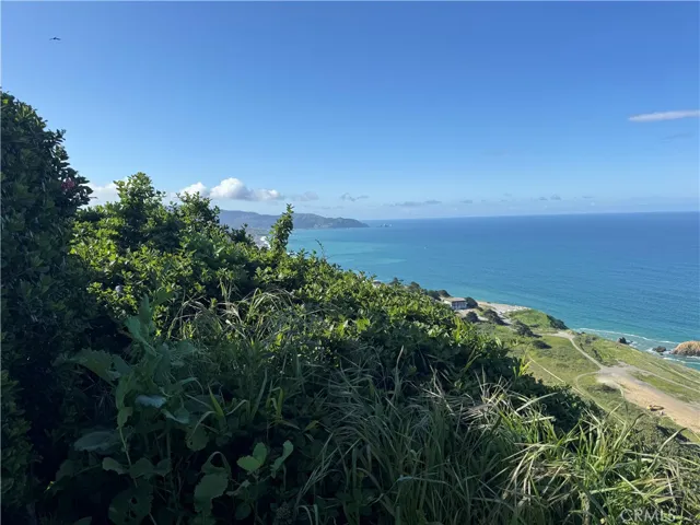 Backyard views