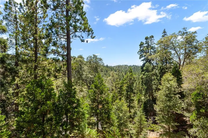 345 Summit Road, Lake Arrowhead, California 92352