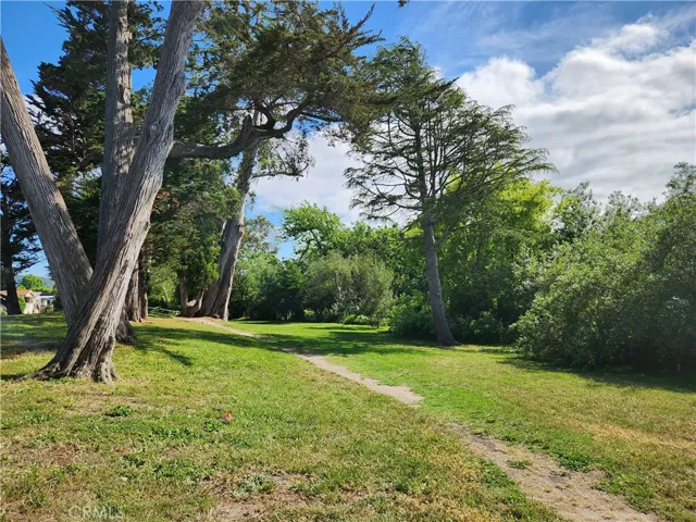 The dog-friendly, walkable neighborhood even boasts a beautiful creekside (hence the name) greenspace for residents and their dogs.