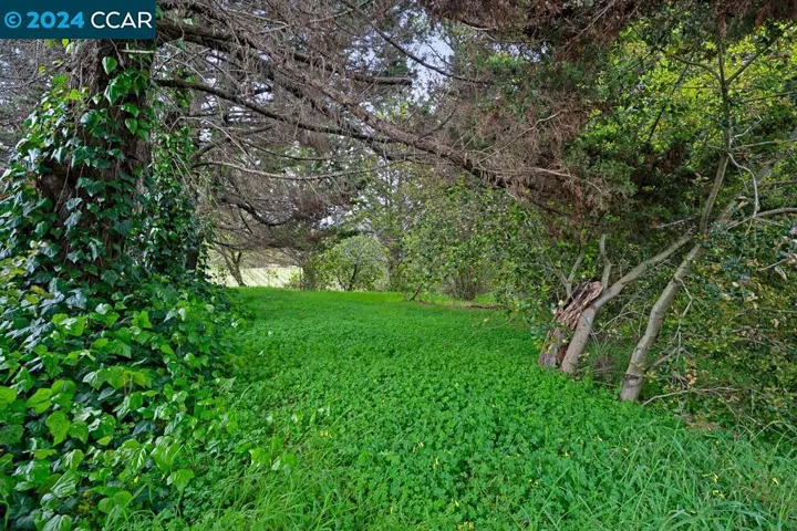 5900 Guerneville Rd, Sebastopol, California 95472