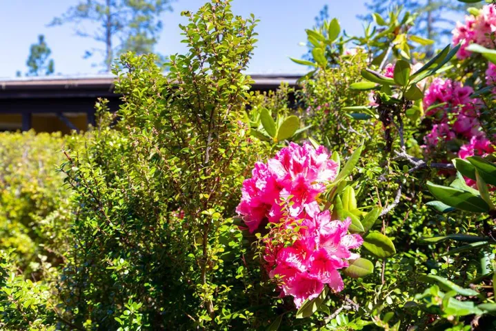 552 Bean Creek Road, Scotts Valley, California 95066