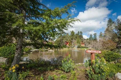552 Bean Creek Road, Scotts Valley, California 95066