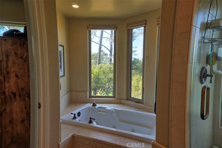 Primary bathroom jetted tub
