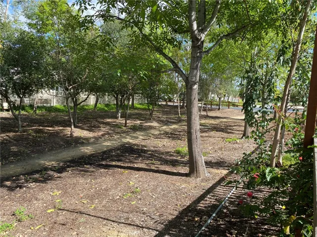 Walking path at back of property in a canopy of trees.