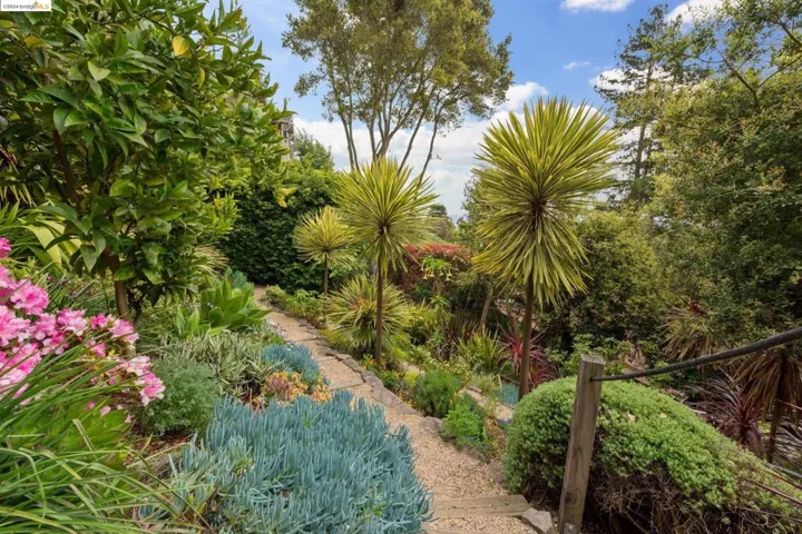 2877 Buena Vista Way, Berkeley, California 94708
