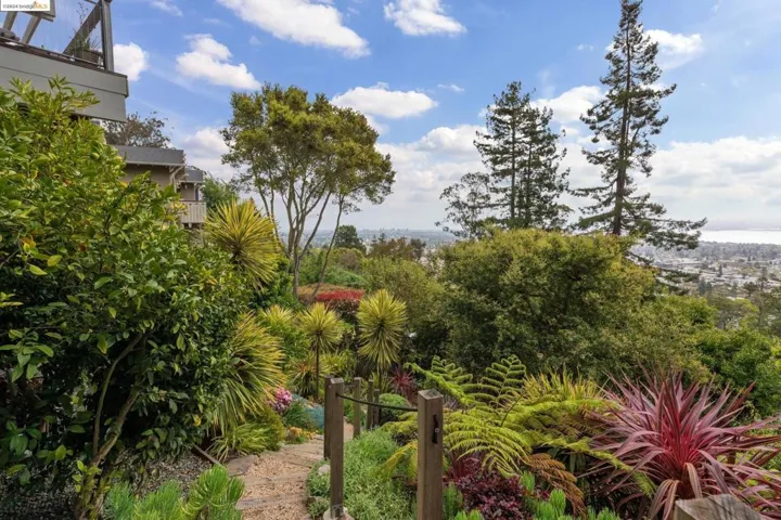2877 Buena Vista Way, Berkeley, California 94708