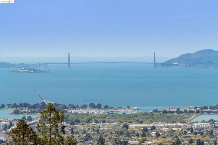 2877 Buena Vista Way, Berkeley, California 94708