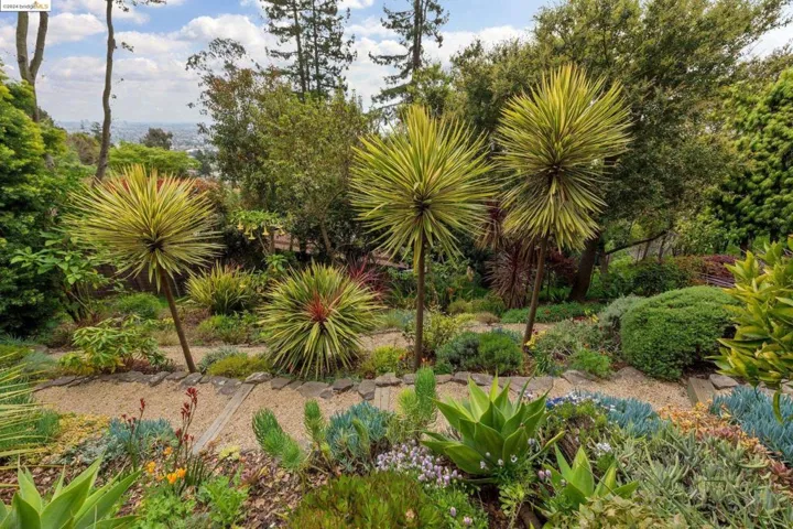 2877 Buena Vista Way, Berkeley, California 94708