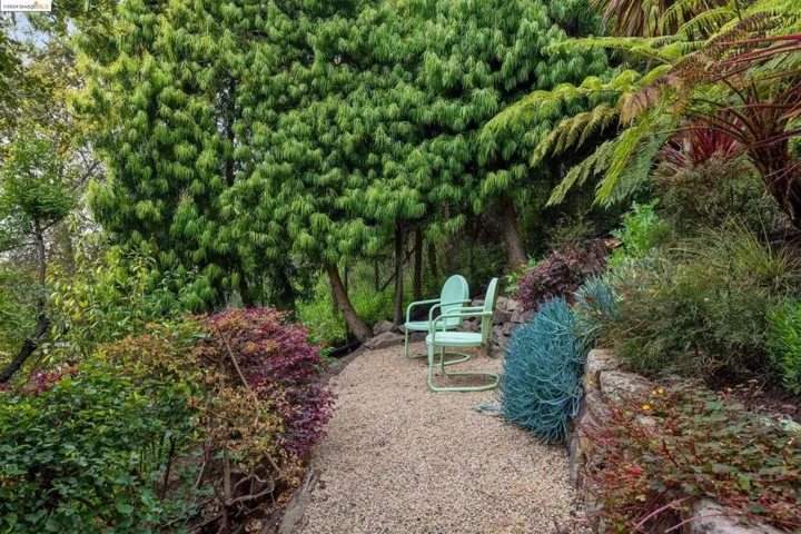 2877 Buena Vista Way, Berkeley, California 94708