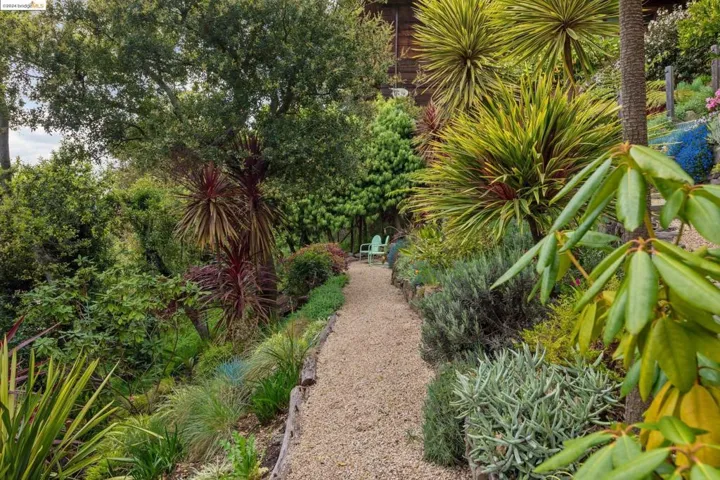 2877 Buena Vista Way, Berkeley, California 94708