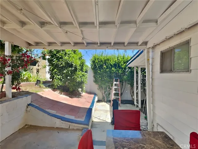 back area