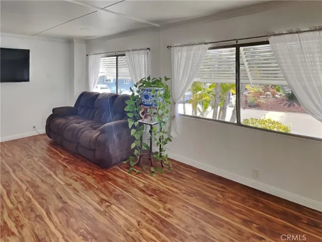 Living room window