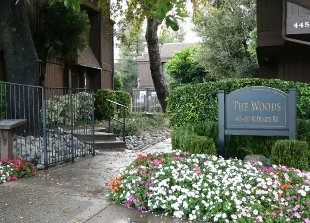 445 W Duarte Road 5, Arcadia, California 91006