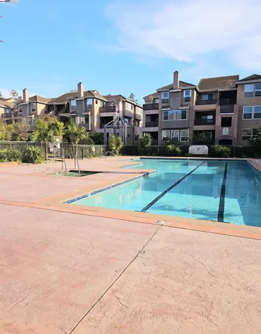 Swimming Pool and Spa