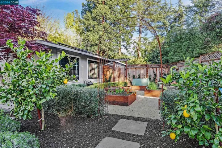 12 Ramon Ct, Danville, California 94526