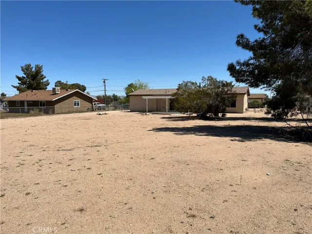 back yard