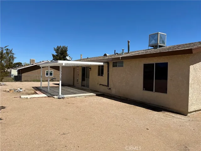 back yard