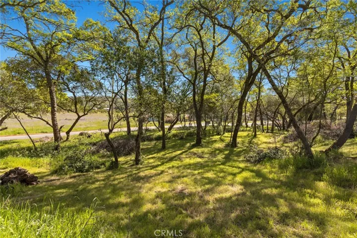 70 Feathervale Drive, Oroville, California 95966