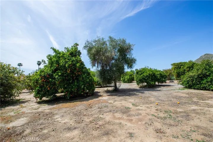 Lot 3