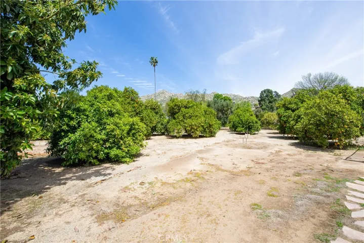 Lot 3