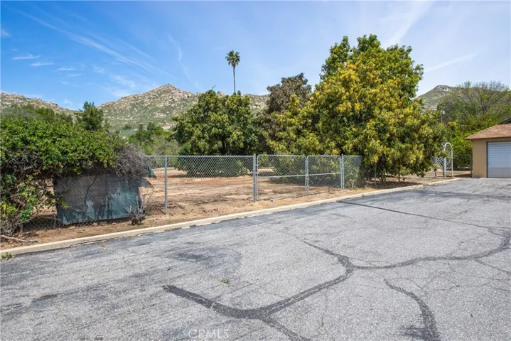 Lot 3 with fruit trees.