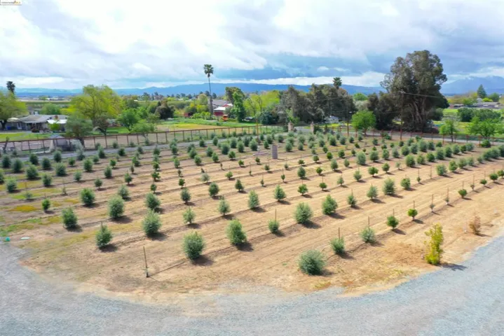 1600 Quail Trl, Brentwood, California 94513