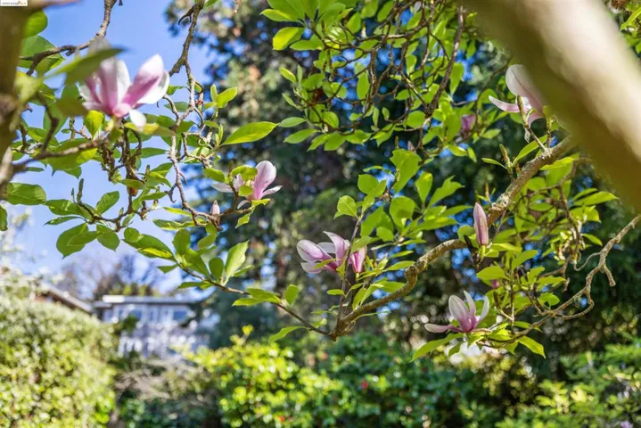 1025 Mariposa Ave, Berkeley, California 94707-2409