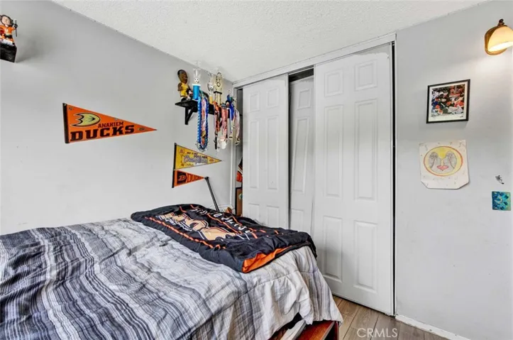 6 Panel Closet Doors In 1st Guest Bedroom