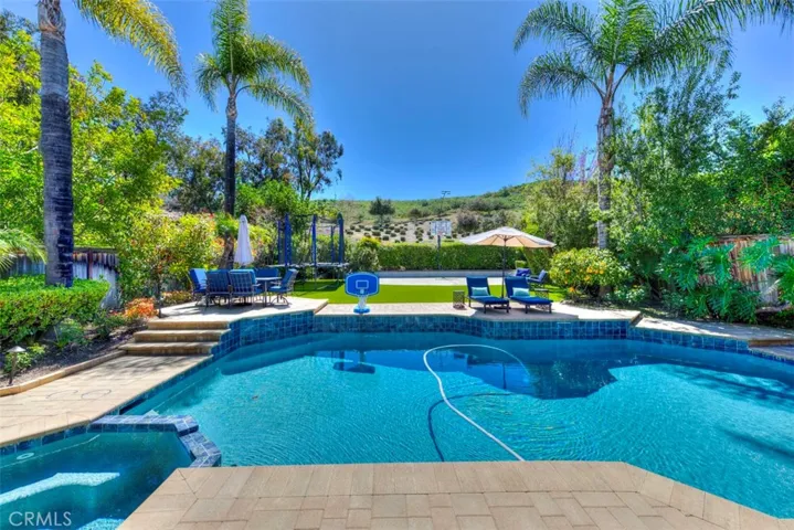 Pool, spa, turf yard, and free throw court ~