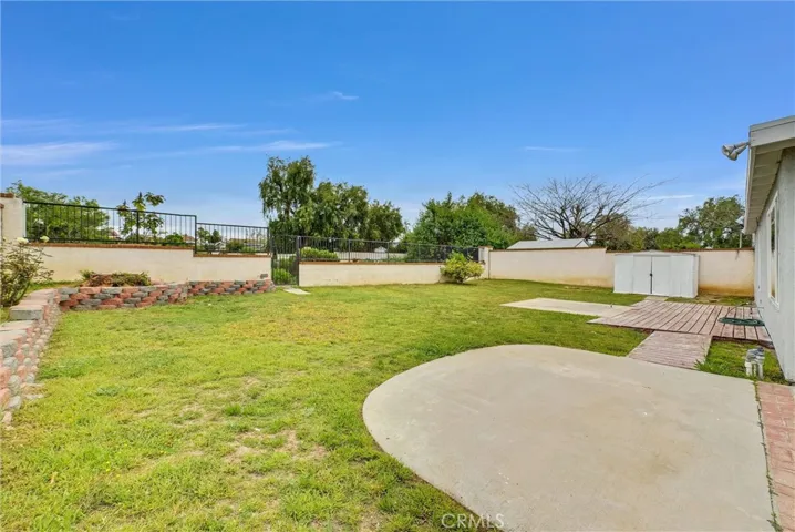 backyard looking out