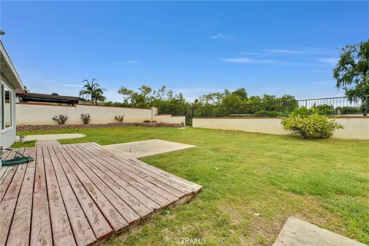 backyard looking out