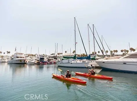 Kayaking in the King Harbor Marina