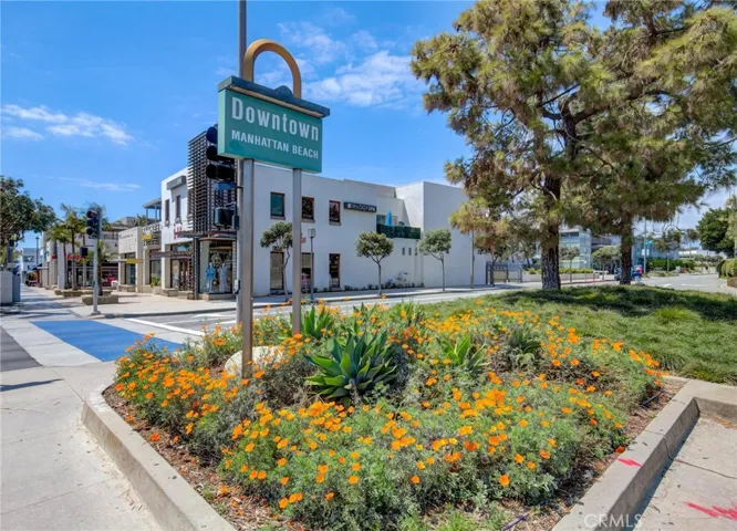 A haven in Manhattan Beach!