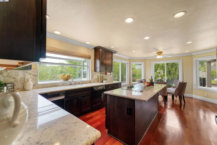 620 Montana Vista Ct, Fremont, California 94539