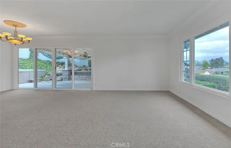 Living room, slider to side yard patio