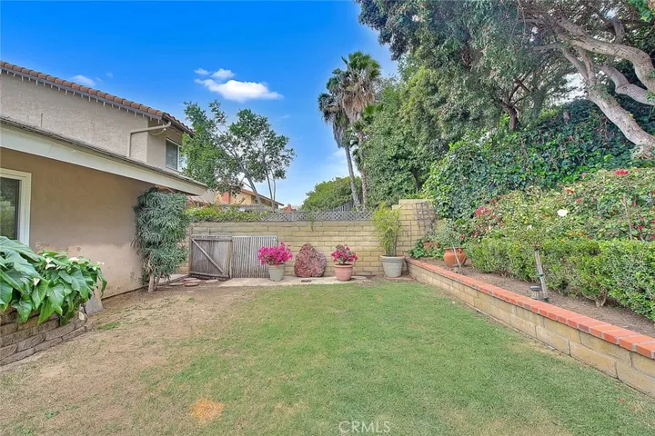 Private back yard.
