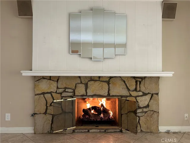 Gas Fireplace in Den