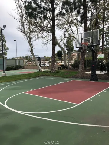 Association Basketball