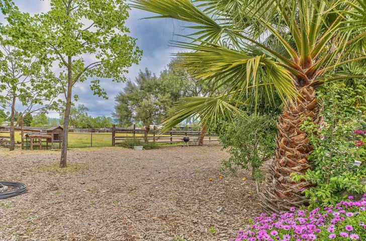 225 Cox Avenue, San Martin, California 95046