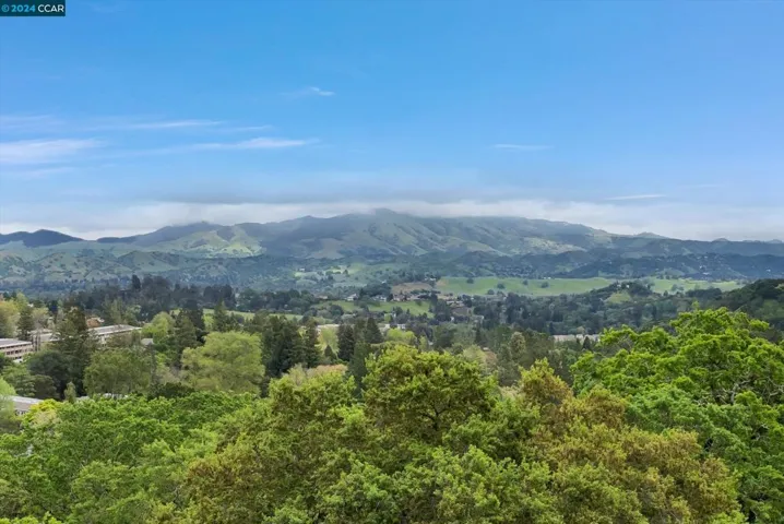 Panoramic setting