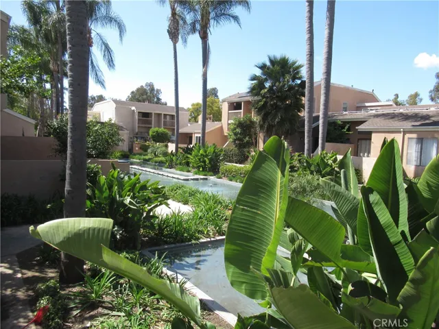 Community Fountains 2