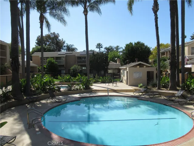 Community Pool 2