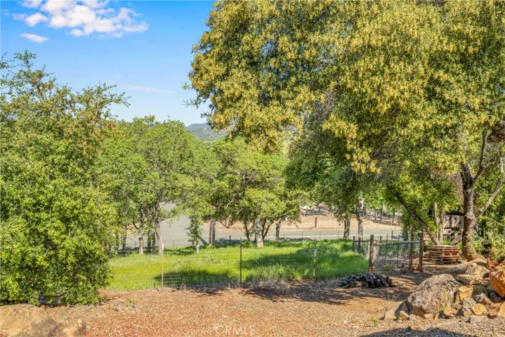 Fenced yards
