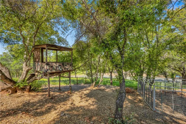 Tree house