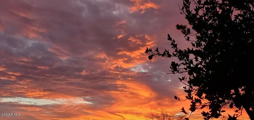 Cedarwood sunset 2