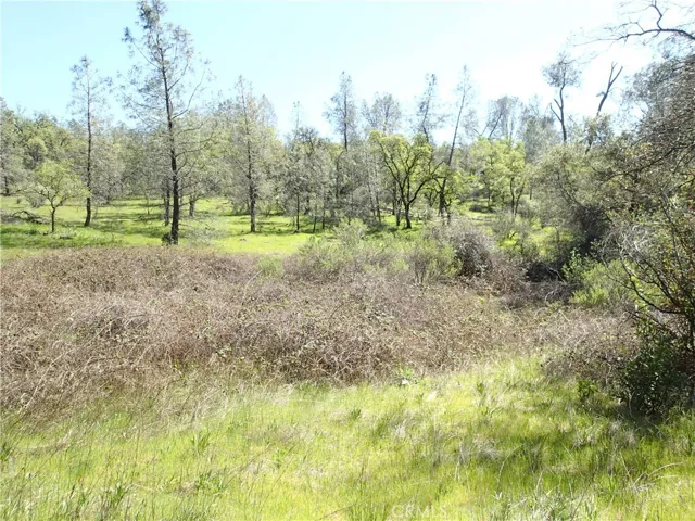 0 Pioneer Trail, Oroville, California 95966