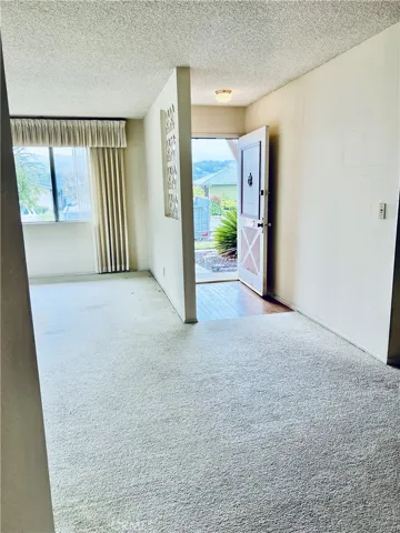 Living Room/Foyer