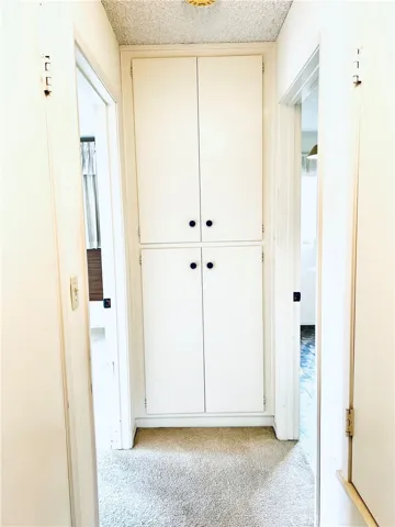 Hallway/Linen Closet